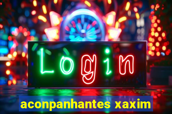 aconpanhantes xaxim